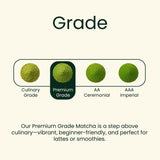 Premium Latte Grade Matcha 1lb (453g) Barista Bulk Pack
