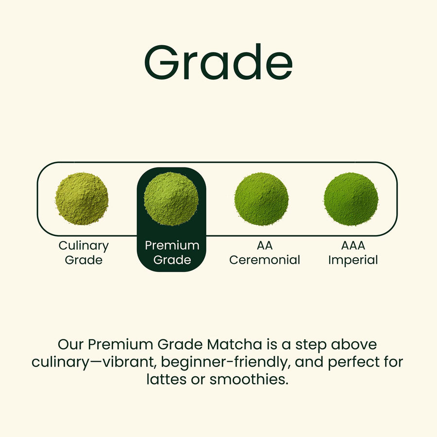 Premium Latte Grade Matcha 1lb (453g) Barista Bulk Pack