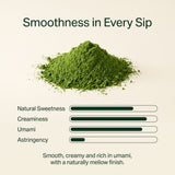 Okumidori Matcha 500g | Tea Master's Choice