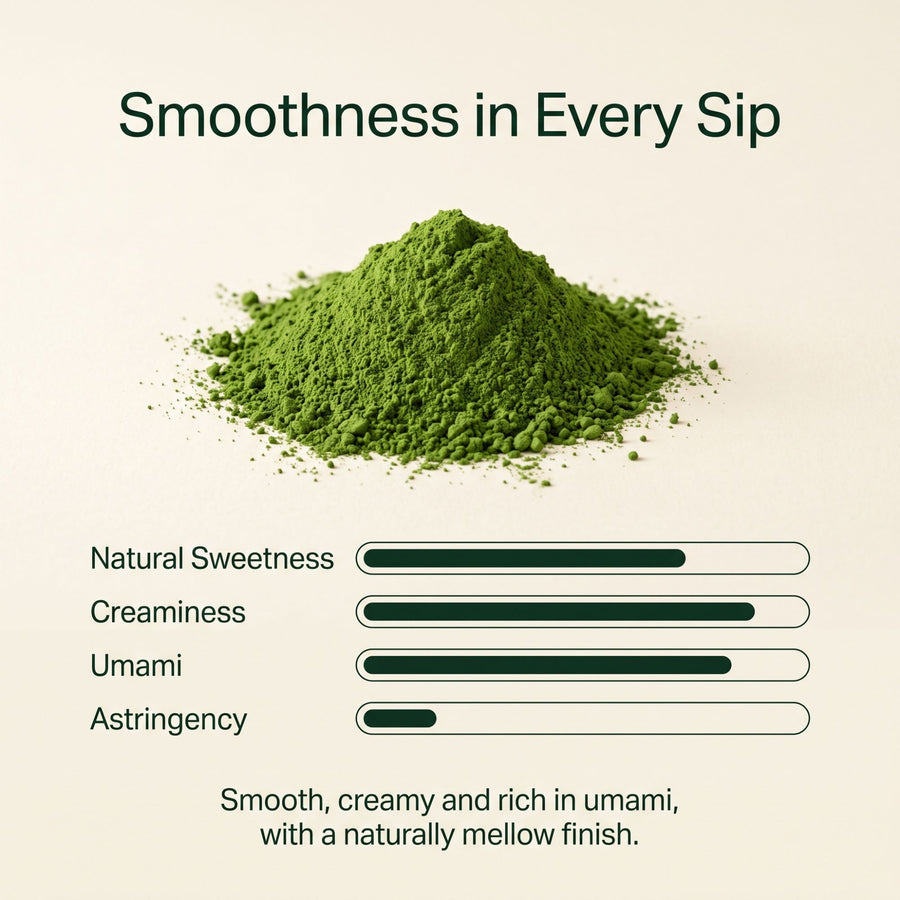 Okumidori Matcha 500g | Tea Master's Choice