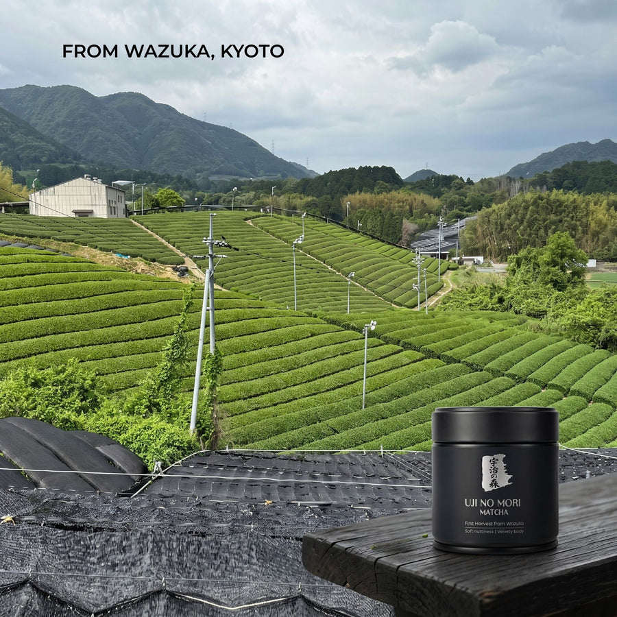 Uji no Mori Matcha Green Tea, 30g, from Wazuka