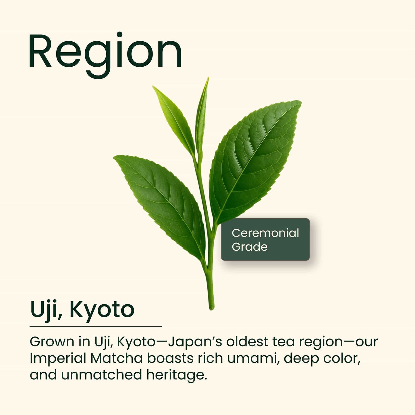 Imperial First Harvest Matcha, 30g